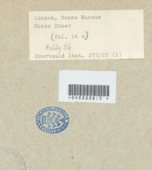 Rückseite von bh593576_recto