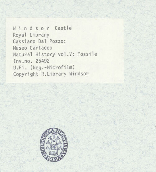 Rückseite von bh598430_recto