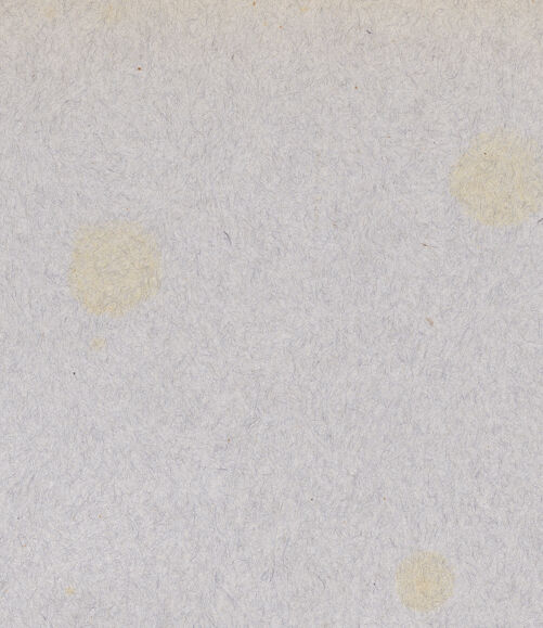 Rückseite von Alinari [https://www.deutsche-digitale-bibliothek.de/content/lizenzen/rv-ez/] Platte mit Ochsen, bh601670_recto. Foto.