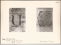 Thumbnail des vierten Ordners