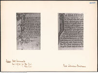 Thumbnail des vierten Ordners