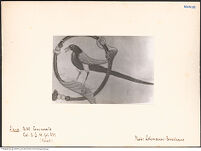 Thumbnail des zweiten Ordners