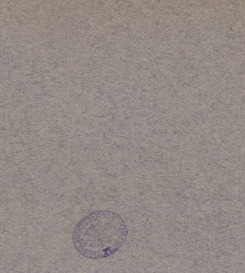 Rückseite von Bibliotheca Hertziana [https://www.deutsche-digitale-bibliothek.de/content/lizenzen/rv-fz/] Portrait des Ottaviano Zuccari, Vater des Kuenstlers - , bh603735_recto. Foto.