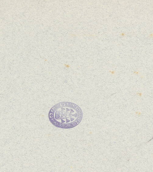 Rückseite von bh603945_recto