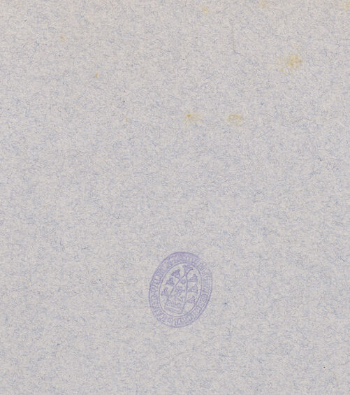 Rückseite von Bibliotheca Hertziana [https://www.deutsche-digitale-bibliothek.de/content/lizenzen/rv-fz/] CattedraleSüdseitenschiff - Blick in Richtung Innenfassade, bh604084_recto. Foto: Schwarz, Heinrich Mathias.