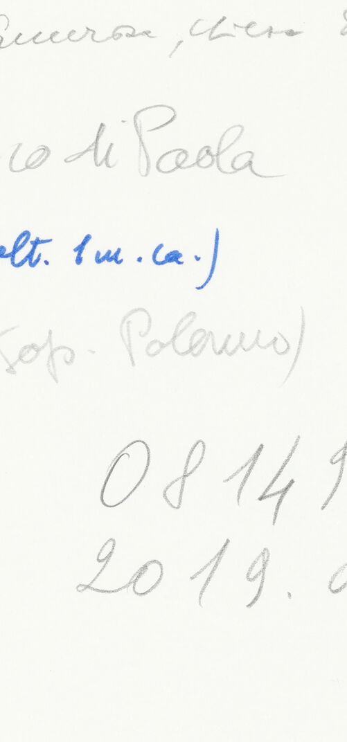 Rückseite von Soprintendenza alle Gallerie della Sicilia - Palermo [https://www.deutsche-digitale-bibliothek.de/content/lizenzen/rv-ez/] Heiliger Franz von Paola - Gesamtansicht, bh606004_recto. Foto.