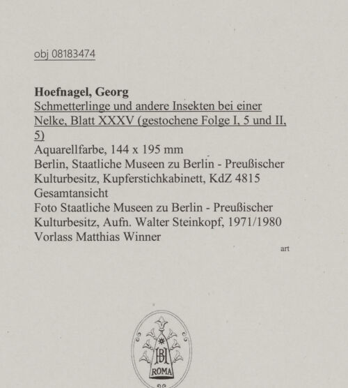 Rückseite von Staatliche Museen zu Berlin - Preußischer Kulturbesitz [https://www.deutsche-digitale-bibliothek.de/content/lizenzen/rv-ez/] Schmetterlinge und andere Insekten bei einer Nelke, Blatt XXXV (gestochene Folge I, 5 und II, 5) - Gesamtansicht, bh607251_recto. Foto: Steinkopf, Walter.