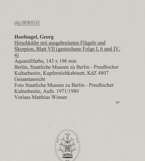 Rückseite von Staatliche Museen zu Berlin - Preußischer Kulturbesitz [https://www.deutsche-digitale-bibliothek.de/content/lizenzen/rv-ez/] Hirschkäfer mit ausgebreiteten Flügeln und Skorpion, Blatt VII (gestochene Folge I, 6 und IV, 4) - Gesamtansicht, bh607298_recto. Foto.