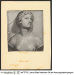 Thumbnail des 15. Ordners