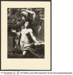 Thumbnail des 56. Ordners