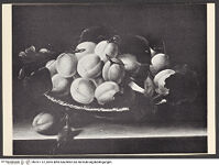 Thumbnail des 21. Ordners