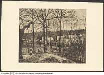 Thumbnail des ersten Ordners