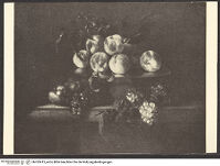 Thumbnail des 13. Ordners