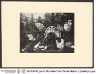 Thumbnail des dritten Ordners