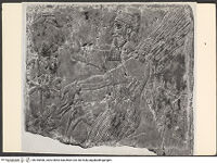 Thumbnail des vierten Ordners