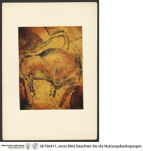 Thumbnail des fünften Ordners