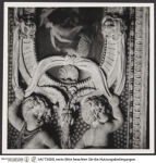 Thumbnail des 29. Ordners