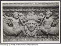 Thumbnail des 32. Ordners