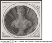 Thumbnail des 49. Ordners