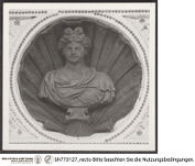 Thumbnail des 51. Ordners